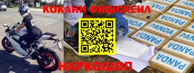 меф Кингисепп