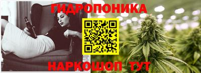 меф Кингисепп
