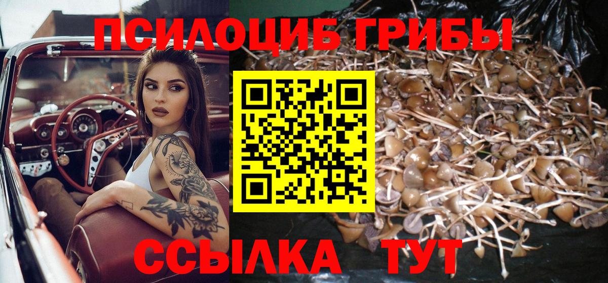 Галлюциногенные грибы Cubensis Краснодар